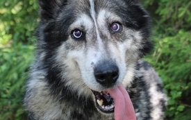 8. Tero