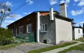 Rybitwy  (2)