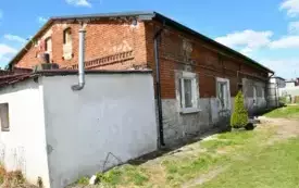 Rybitwy  (1)