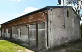Rybitwy (3)