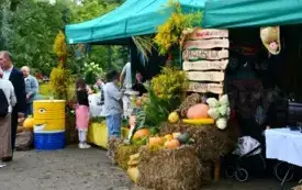 Dożynki gminne 2025 (81)