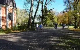 Kwesta kalwaryjska  (15)