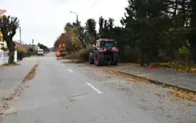 Przycinka pielęgnacyjna drzew  (3)