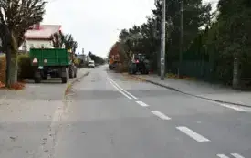 Przycinka pielęgnacyjna drzew  (1)