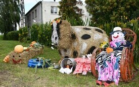 Witacze  (15)