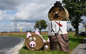 Witacze  (9)