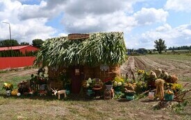 Witacze  (6)