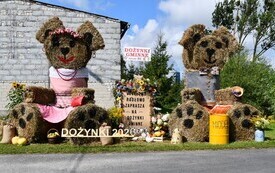 Witacze  (1)
