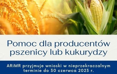Zdjęcie do Nab&oacute;r wniosk&oacute;w o pomoc finansową dla producent&oacute;w pszenicy lub kukurydzy