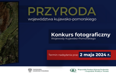 Zdjęcie do Konkurs fotograficzny 